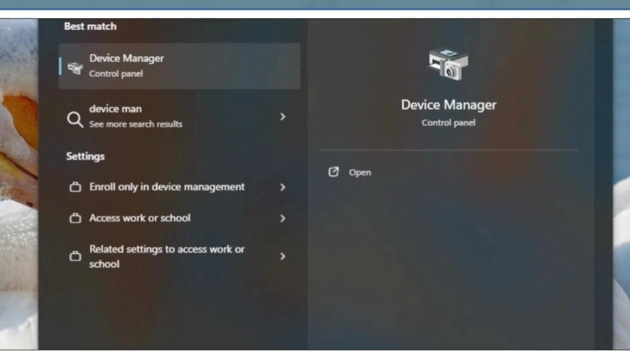 device manager search